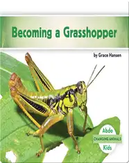 Becoming a Grasshopper