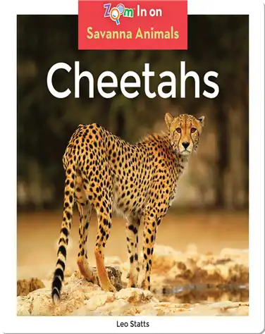 Cheetahs book