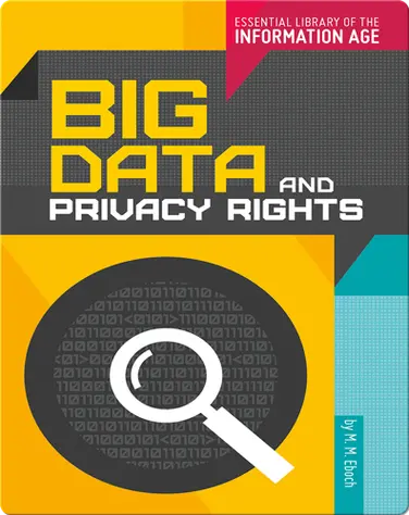 Big Data and Privacy Rights book
