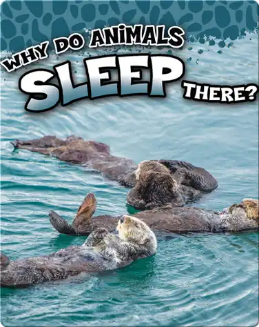 Why Do Animals Sleep There? book