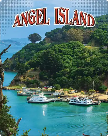 Angel Island book