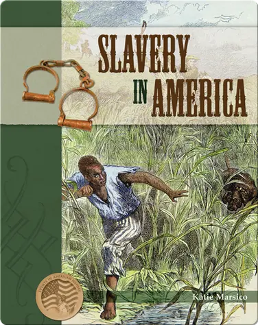 Slavery in America book