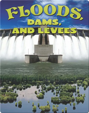 Floods, Dams, and Levees book