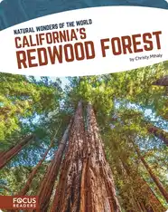 California's Redwood Forest