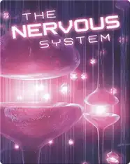The Nervous System