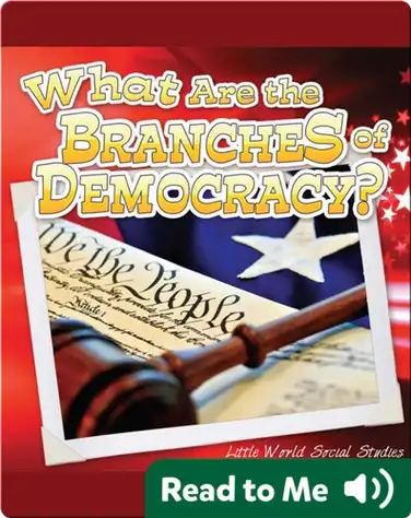 What Are The Branches of Democracy? book