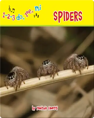 Spiders book