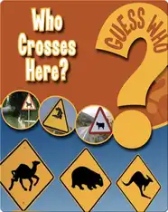 Who Crosses Here?