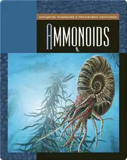 Ammonoids