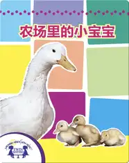 农场里的小宝宝