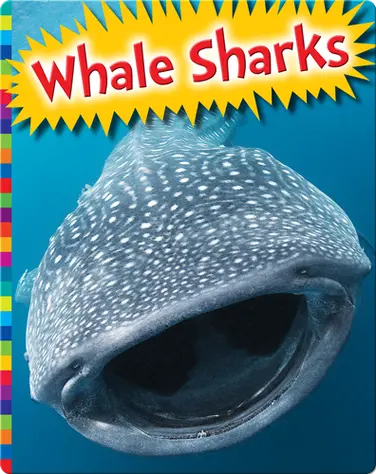 Whale Sharks book
