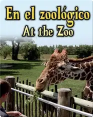 En El Zoologico  (At The Zoo)