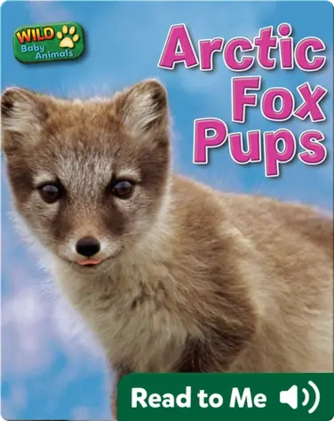 Arctic Fox Pups book