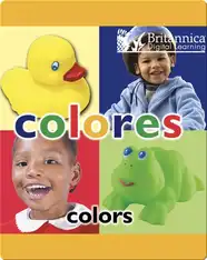 Colores (Colors)