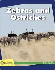 Zebras and Ostriches