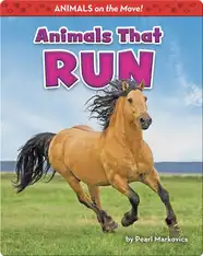 Animals That Run