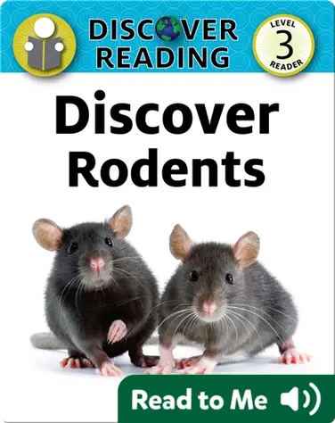 Discover Rodents book
