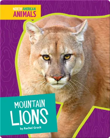 Mountain Lions book
