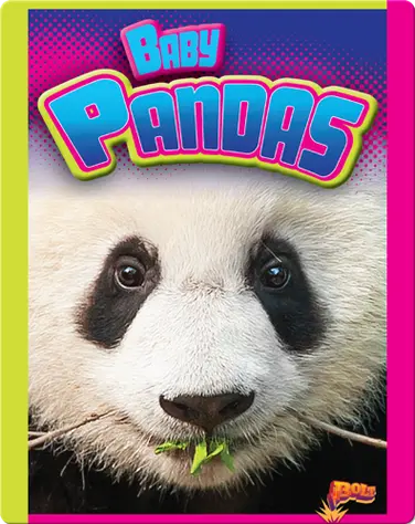 Baby Pandas book
