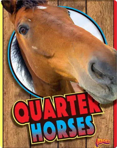 Quarter Horses book
