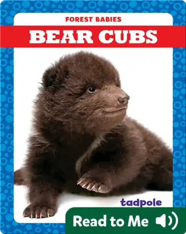 Bear Cubs book