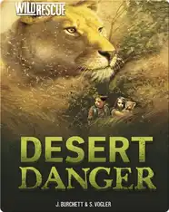 Desert Danger