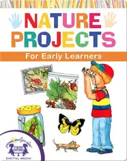 DIY Nature Projects for Early Learners