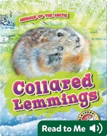 Collared Lemmings book