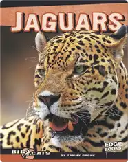 Jaguars