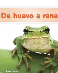 De huevo a rana
