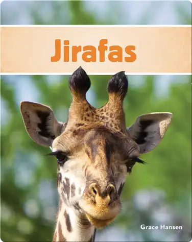 Jirafas book