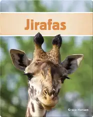 Jirafas