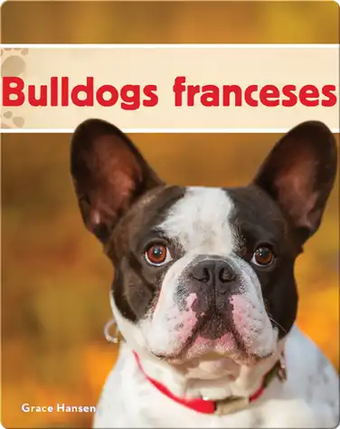 Bulldogs franceses book