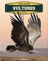 Vultures