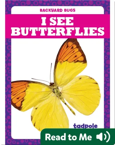 I See Butterflies book