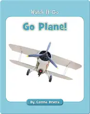 Go Plane!