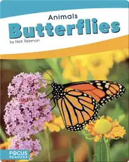 Animals: Butterflies