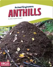 Animal Engineers: Anthills