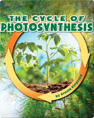 The Cycle of Photosynthesis book