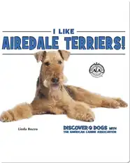 I Like Airedale Terriers!