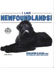 I Like Newfoundlands!