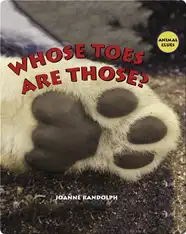 Whose Toes Are Those?