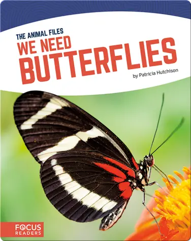 We Need Butterflies book