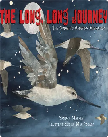 The Long, Long Journey: The Godwit's Amazing Migration book