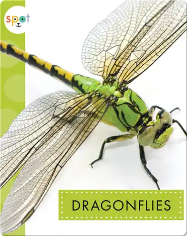 Creepy Crawlies: Dragonflies book