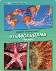 Strange Bodies