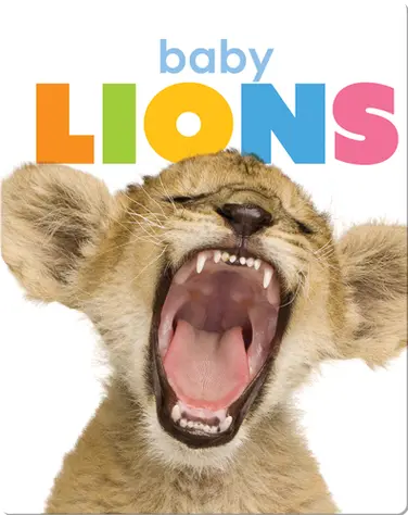 Starting Out: Baby Lions book