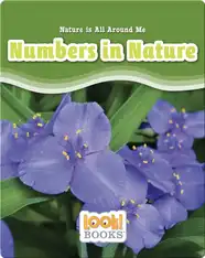 Numbers in Nature
