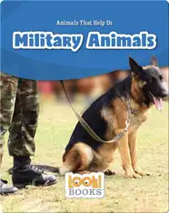 Military Animals