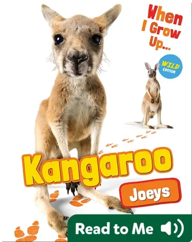 Kangaroo Joeys book